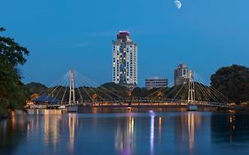 Cinnamon Red Colombo